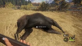 theHunter Call of the Wild20241009212423 [upl. by Aland118]