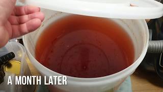 Rhubarb wine from frozen rhubarb  You can use any frozen fruits [upl. by Harbed]