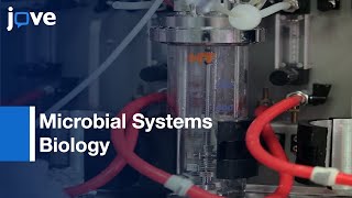 Chemostats In Microbial Systems Biology l Protocol Preview [upl. by Frankel577]