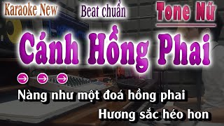 Cánh Hồng Phai Karaoke Tone Nữ Beat Chuẩn Nhạc Sống song nhien karaoke [upl. by Elamaj]