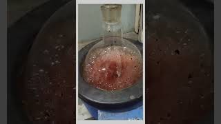 Soxhlet apparatus procedure Extraction aktch aligarhmuslimuniversity themagicalwaytolearn [upl. by Odab]