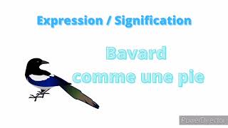 Bavard comme une pie  Expression  Signification [upl. by Yehtomit513]