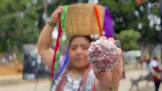 Nahuas de Milpa Alta CDMX en Oaxaca [upl. by Edric]