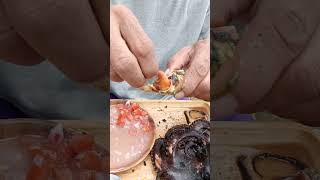 Seafoods and shells MUKBANG😀🐙🦪 [upl. by Eillas381]