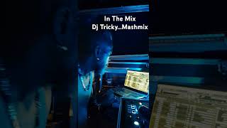 Dj Tricky Mashmix [upl. by Delaine]