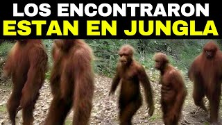 Una Especie Humana Recién Descubierta Plantea Grandes Dudas Sobre el Origen de los Humanos [upl. by Atterehs]