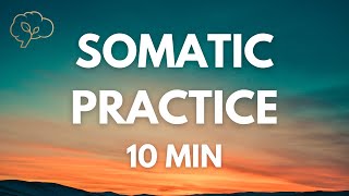 Somatic Exercises for Nervous System Regulation  10 Min Guided [upl. by Brianna]