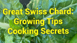 Grow and Cook Swiss Chard Better Than Ever Before [upl. by Corinne291]