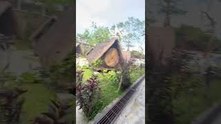 Balinsasayaw Restaurant in Tagaytay Philippines travel youtubevideo restaurant goodfood [upl. by Herstein]