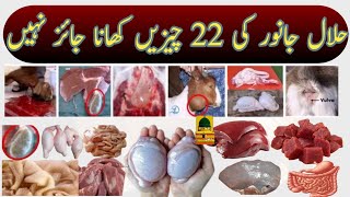 Halal Janwar Ki Ye 22 Cheezen Khana khana jaiz nahi  Halal Janwar Ki Ye 22 Cheezen Khana Haram [upl. by Ardek464]