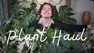 Unboxing My Biggest Plant Order Plant Haul [upl. by Marcille557]