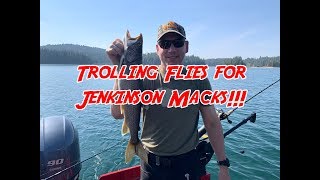 Trolling Flies for Jenkinson Macks [upl. by Geno]