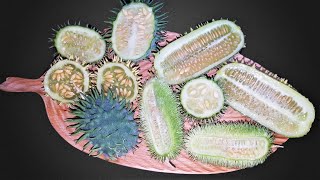 Fruit that looks like a giant bacteria  Cucumis Time Lapse  14 Days【4K】 [upl. by Aimahs]