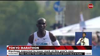 Eliud Kipchoge to reclaim title in 2024 Tokyo Marathon this Sunday [upl. by Nakashima]