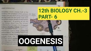 Class 12 biology chapter 3part 6 gametogenesisoogenesisby study with farru [upl. by Aihsilef]