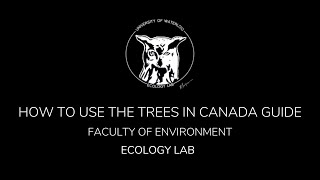 Using The Trees in Canada Guide [upl. by Annairda]