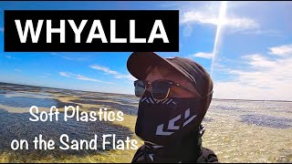 NATURE FILLED SAND FLATS  WHYALLA  Fishing the Whyalla Sand Flats with SOFT PLASTICS [upl. by Eerok783]