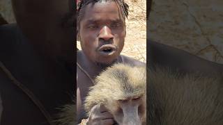 Bushmen hunting food africantribe [upl. by Nylicaj928]