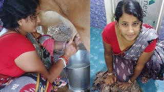 Ajke tomader request vedio cow🐄 milking amp Washing🥻👗👕 [upl. by Mitchel]