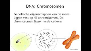 wat zijn chromosomen [upl. by Acir]