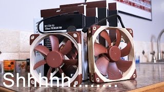 MAJOR Fan Noise Reduction with Noctua [upl. by Nehcterg]