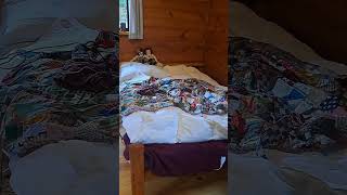 Marthas Vineyard Campground one room cabin tour [upl. by Rennug514]