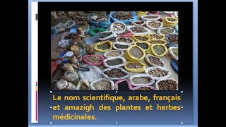 Reconnaitre le nom scientifique arabe français et Amazigh des plantes et herbes médicinales [upl. by Eelyrag15]