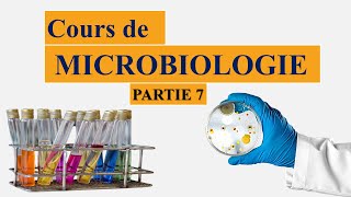 cours de microbiologie partie 7  morphologie et structure de la bactérie  procaryote et eucaryote [upl. by Annahsit]