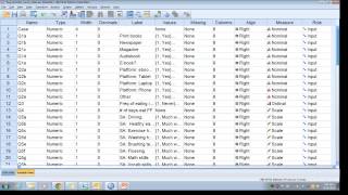 SPSS Codebook [upl. by Notsyrb315]