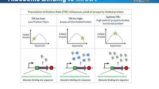 Expression vectors how to choose or customize vectors for gene amp protein expression [upl. by Odele]