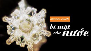 Sách Nói Bí Mật Của Nước  Chương 1  Masaru Emoto [upl. by Keller]