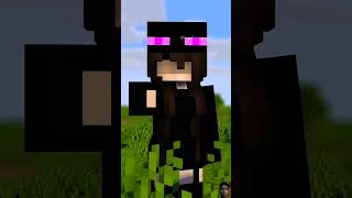 Save endermite from enderman  minecraft animation shorts [upl. by Irehc]