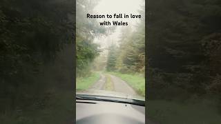 Drive through Snowdonia Wales [upl. by Sanjiv840]