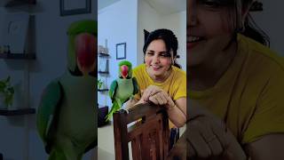 Mummy Pablo Parrot Cute Talk ❤️😍 shorts parrot cute funny [upl. by Lleryd]