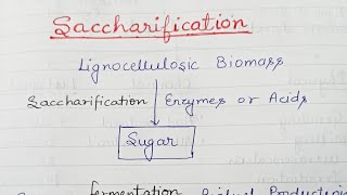 Saccharification Use of cellulosic feedstock for alcohol production [upl. by Susanetta]