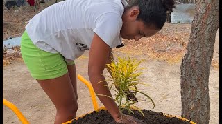 Plantando a planta na Galinhota [upl. by Ab829]