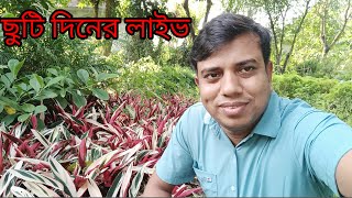 ছুটির দিনে লাইভের আড্ডা।RX Alamin Vlogs [upl. by Annasus]