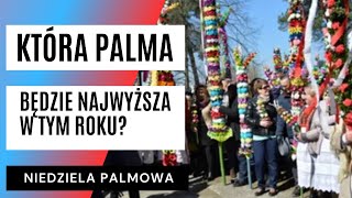 NIEDZIELA PALMOWA Tak powstają palmy w Łysych na Kurpiach Są unikatowe  FAKT Pl [upl. by Eresed]