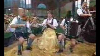 Elstätzinger Musikanten  Windhofer Polka 2004 [upl. by Matless826]