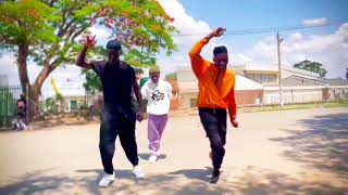 FREEMAN FT MASTER H FT NUTTY O CHAHWIRIRI DANCE COVER ME VS ME🇿🇼 [upl. by Annora]