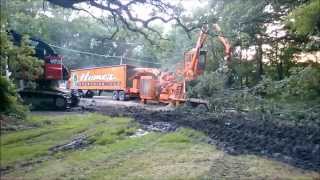 Giant Tree Shredder  Large Wood Chipper Devouring Whole Trees  HD Video [upl. by Bronson]