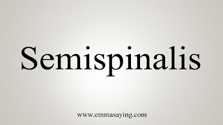 How To Say Semispinalis [upl. by Sollars]