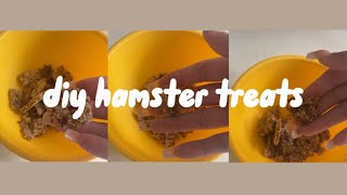 DIY hamster treats  quick amp easy recipe [upl. by Bolte]