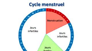 Quels sont les jours fertiles pour tomber enceinte [upl. by Martelle]