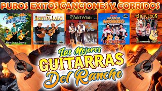 LAS MEJORES GUITARRAS DEL RANCHO  Dueto Los Armadillos Dueto Del Sur Dueto Los Dos De Guerrero [upl. by Natsirk]