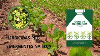 QUAIS SÃO OS HERBICIDAS PRÉEMERGENTES NA SOJA [upl. by Rasaec910]