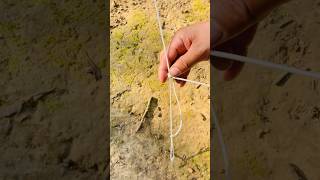 Incredible knot for tentcamping short adventure [upl. by Swisher]