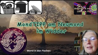 080424 Neumond im Widder 1 MondTIPP [upl. by Darwin]