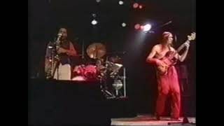 Birdland live  isolated bass only  Jaco Pastorius Weather Report [upl. by Smaoht]