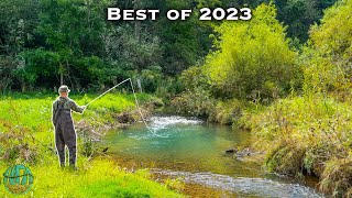 THE BEST FLY FISHING  TROUT FISHING VIDEO Best of Compilation  2023 [upl. by Marcin934]